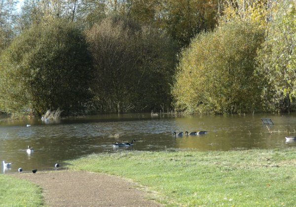 Sutcliffe flood 11.11.18